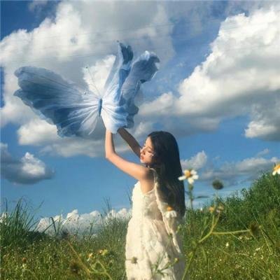 动物狂想曲第一季